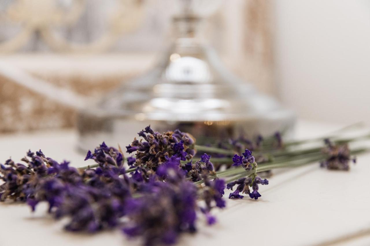 The French Boudoir Apartment Еперне Екстериор снимка